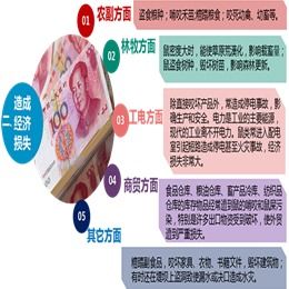 泰安養(yǎng)殖場(chǎng)高效滅鼠策略 結(jié)合專業(yè)服務(wù)與工業(yè)互聯(lián)網(wǎng)數(shù)據(jù)優(yōu)勢(shì)